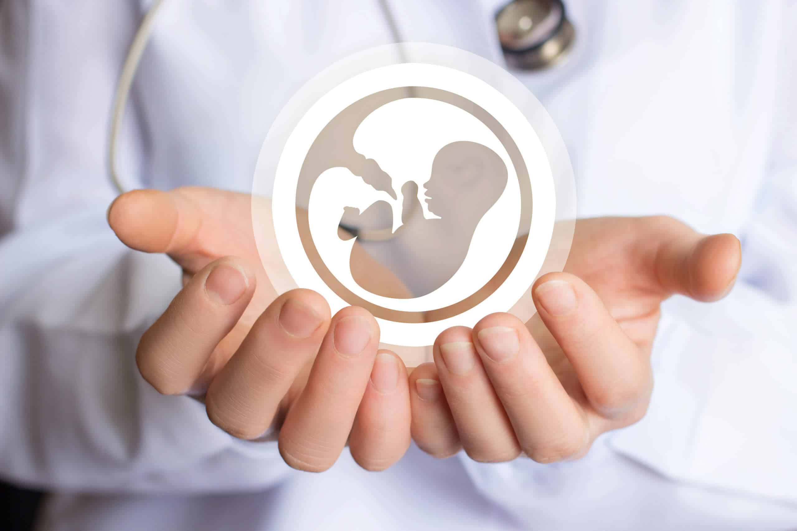 Can Tight Underwear Cause Male Infertility? Doctor Breaks Down Top Myths Fertility 1